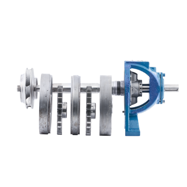 Freistellerbilder Shooting 105462